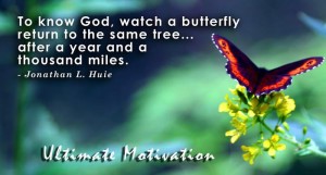 e-motivasyon.net_quotes_to know_God_watch_ butterfly_return_to_the_same_tree_after_year_and_thousand_miles.