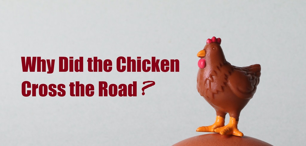 Why Did the Chicken Cross the Road? Motivation is about the causes of behavior and asks only one question: Why? You can also make your own comment in line with the statements set out below. Why did the chicken cross the road?